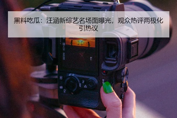 黑料吃瓜：汪涵新综艺名场面曝光，观众热评两极化引热议